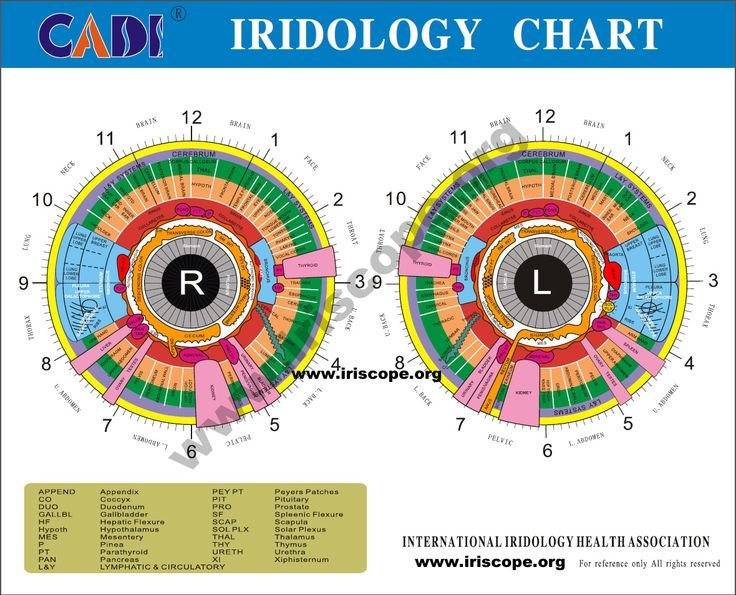 Mapa del Iris en Iridología