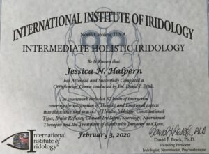 Escuelas de Iridología