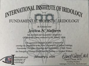 Escuelas de Iridología