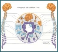 Ilustración de la Iridología