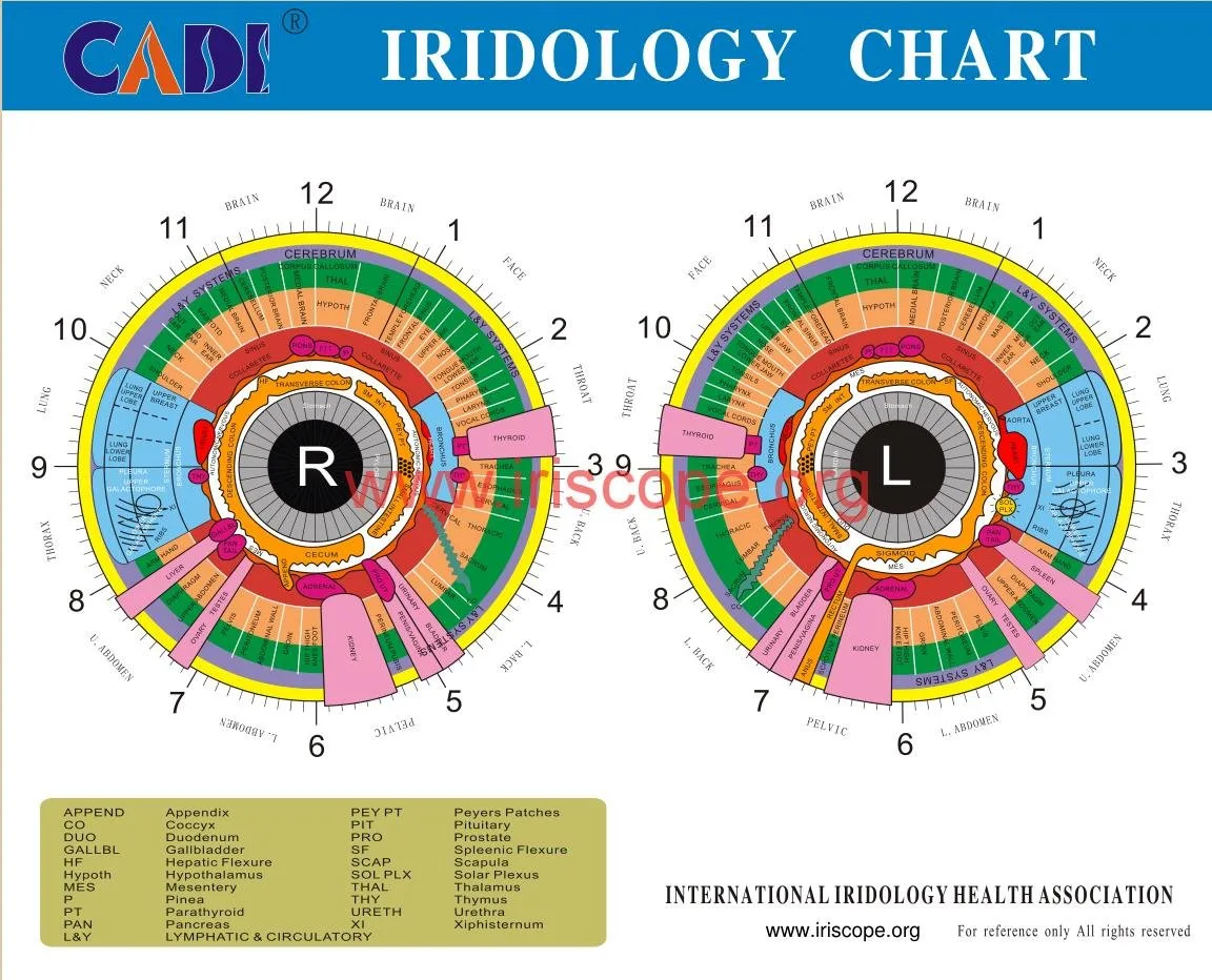 Dónde comprar equipos profesionales de iridología en México: opciones prácticas para agentes y distribuidores — sclerology eye chart 16.jpg