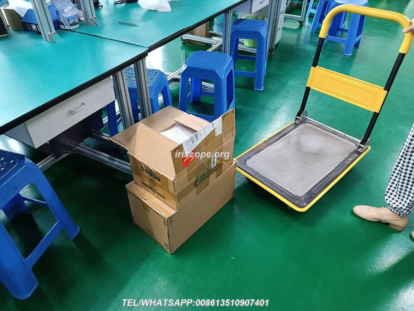Dónde comprar equipos profesionales de iridología en México: opciones prácticas para agentes y distribuidores — 00036.JPG