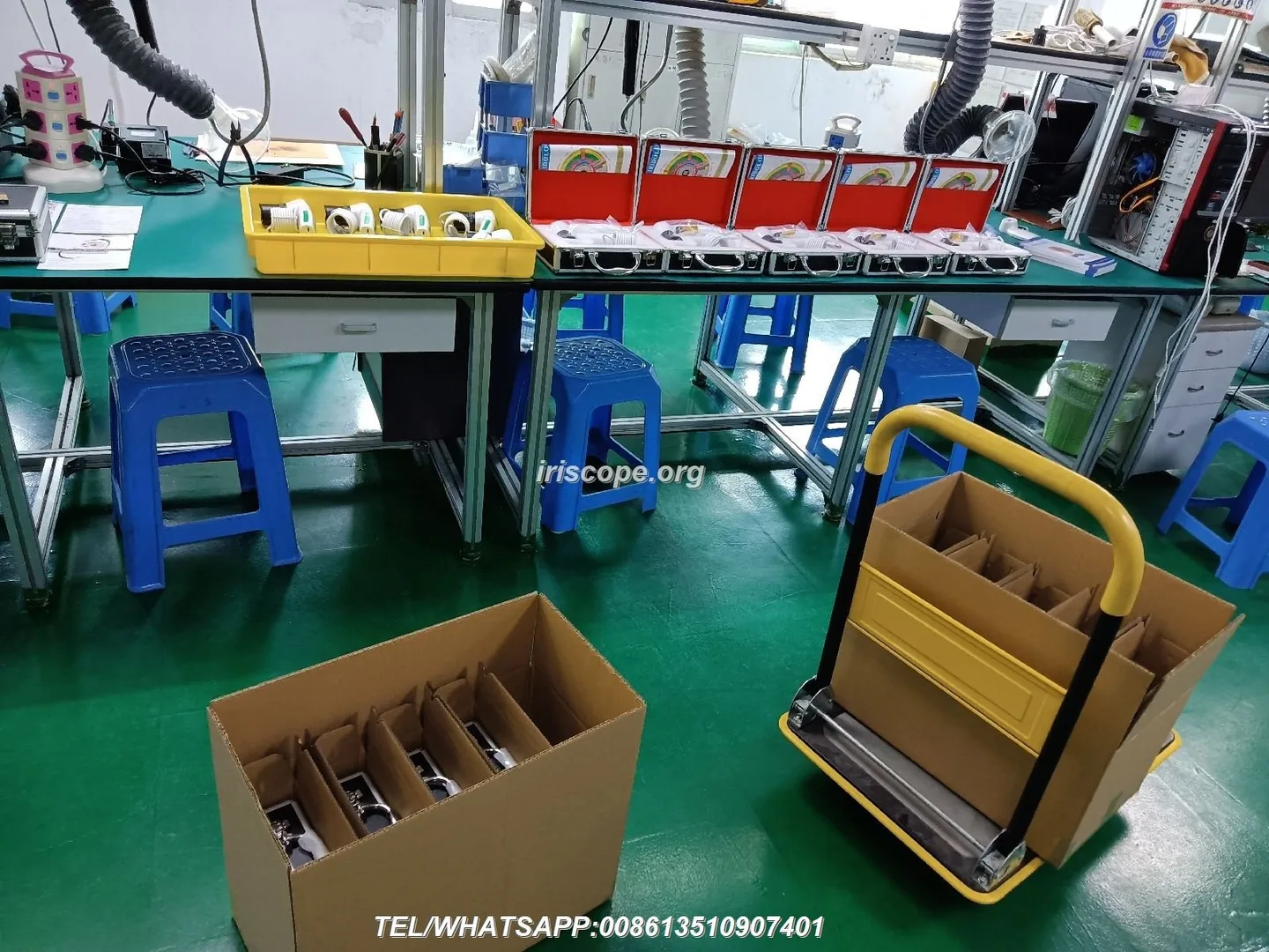 Dónde comprar equipos profesionales de iridología en México: opciones prácticas para agentes y distribuidores — 00034.JPG