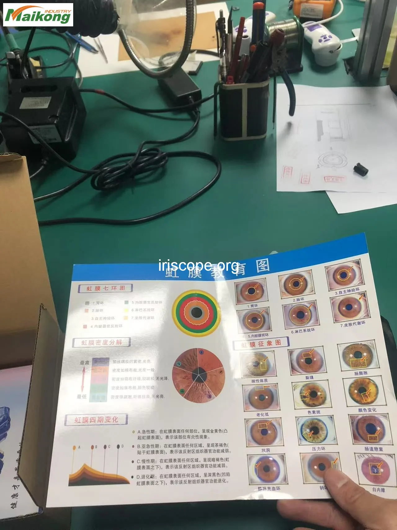 Iris es un color: qué significa para proveedores de equipos para terapeutas en México — Software de Iridología (322).jpg