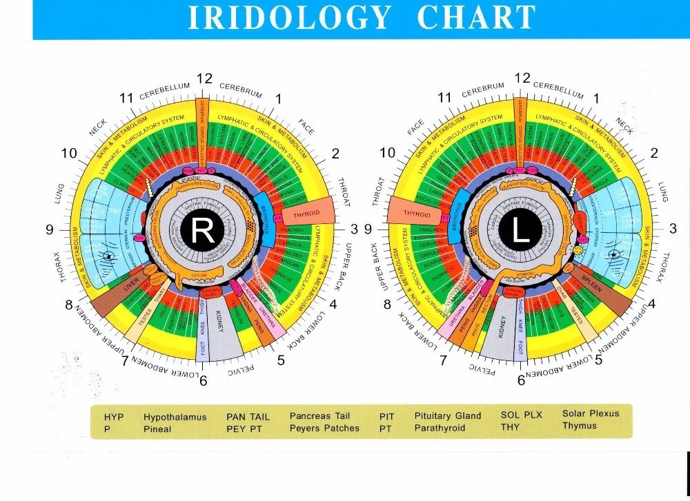 MAIKONG WIFI 20MP Iriscope camera MK 9888U — sclerology eye chart 18.jpg