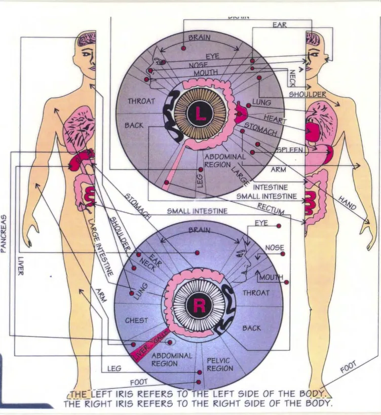 ¿Qué pruebas clínicas publicadas avalan la correlación entre signos del iris y patologías sistémicas? — iridology books (2).png